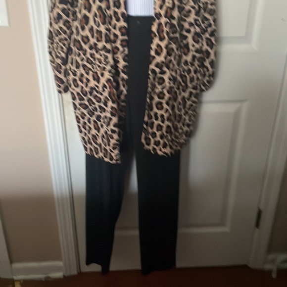 Good Condition Banana Republic Black Pleated Ankle-Length Work Slacks: Size M. - Picture 6 of 8